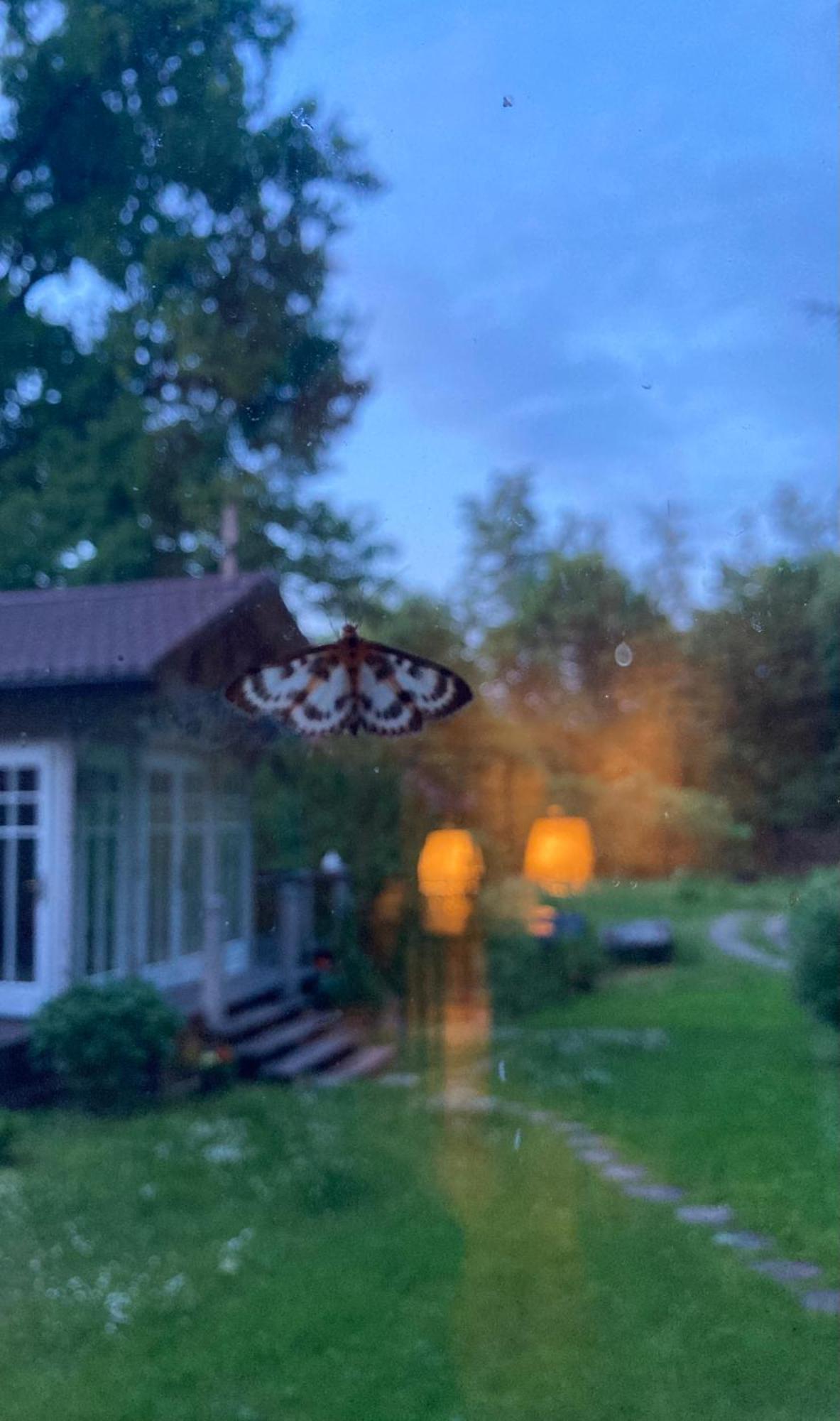 Holiday home Niebieski Kon *